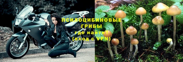 MESCALINE Алексеевка